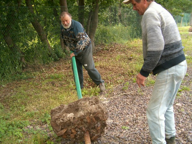 ad_tn_przekladanie ogrodzenia Tadeusz SP6HQT i Grzegorz.JPG